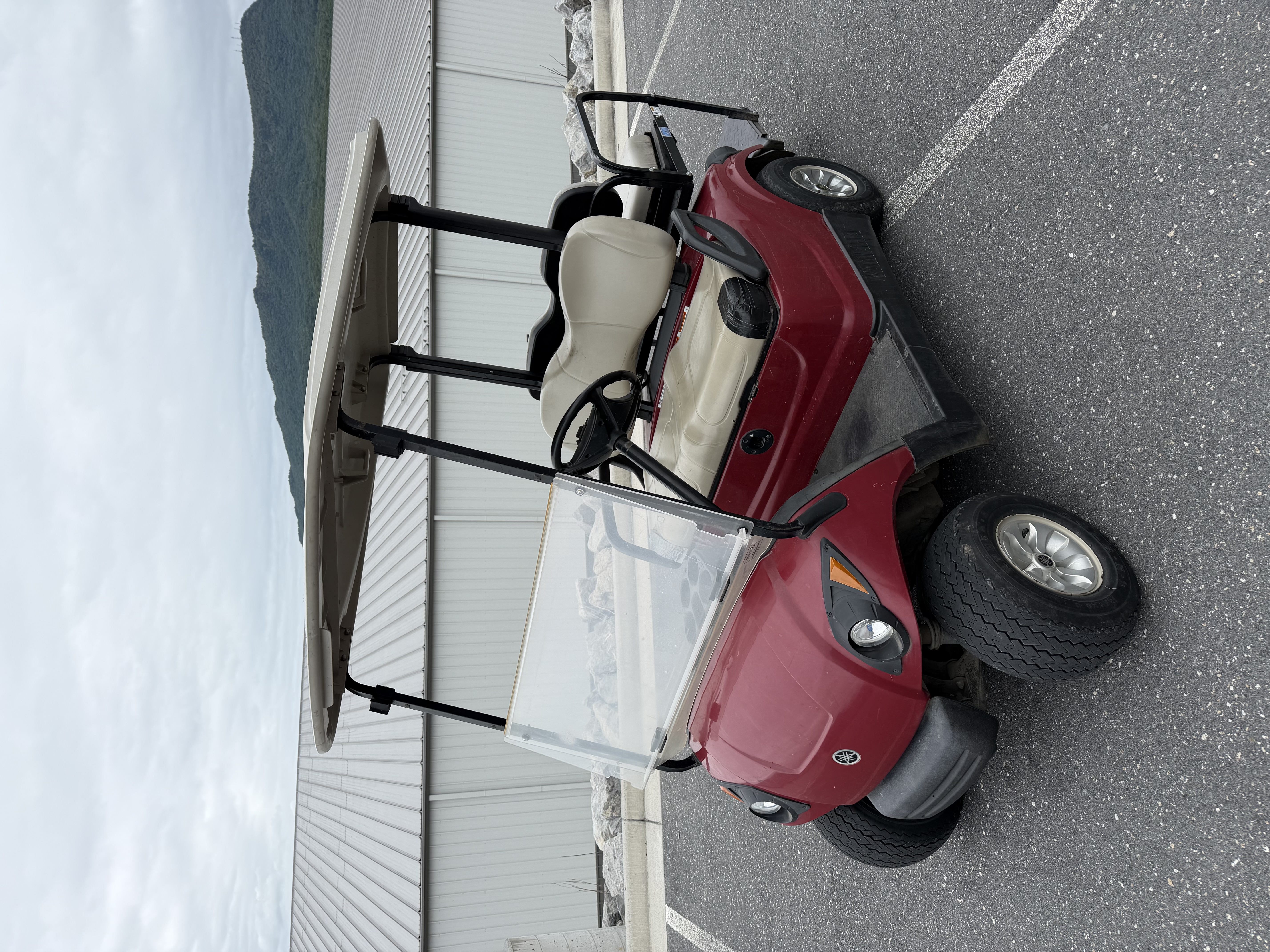 2008 Yamaha Drive Electric